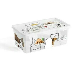 C Box Style Pets Collection XS, 6l