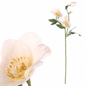 Čemeřice, bílá barva. Květina umělá. NL0057