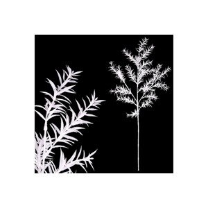 Asparagus - bílá barva s glitry. SG6089-WH