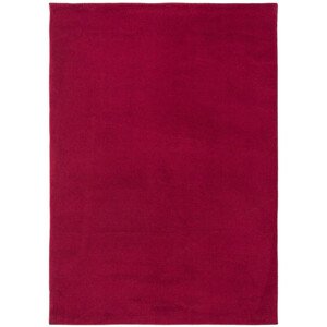 BO-MA Trading Int. s.r.o. Kusový koberec SPRING red, Červená (Rozměr: 80 x 150 cm)
