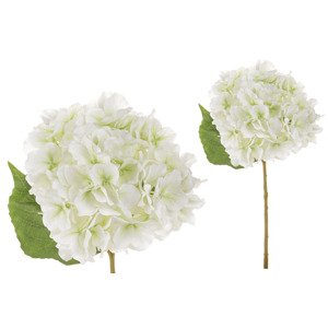 Hortenzie, barva bílo-zelená. Květina umělá. KN5114-WH-GR, sada 12 ks