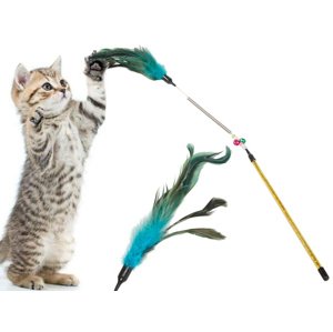 Hračka pro kočku, rybářský prut, pírko a chrastítko