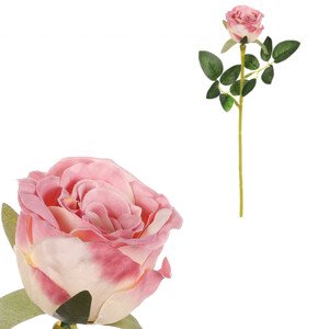 Růže, růžová barva. KN7049 PINK, sada 6 ks