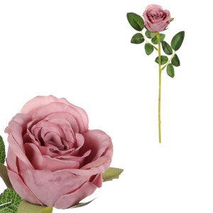 Růže, fialová barva. KN7049 PUR, sada 6 ks