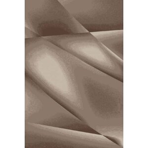 Kusový koberec Miami 6590 brown (Varianta: 140 x 200 cm)