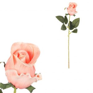 Růže pěnová, barva meruňková. KN7048 APPR, sada 6 ks