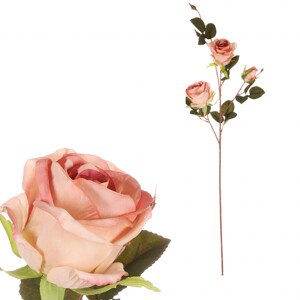 Růže, 3-květá, staro-růžová. KN7058 PINK-OLD, sada 6 ks