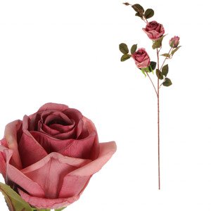 Růže, 3-květá, barva fialová. KN7058 PUR, sada 6 ks