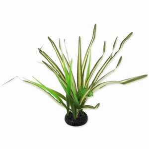 Rostlina REPTI PLANET travina Spartina 30 cm - Zákaznícke dni 28.3. – 30.4.2024