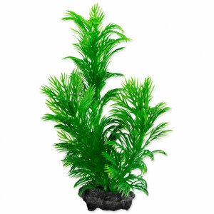 Rostlina TETRA Green Cabomba S - Zákaznícke dni 28.3. – 30.4.2024
