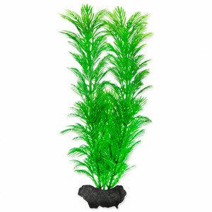 Rostlina TETRA Green Cabomba M - Zákaznícke dni 28.3. – 30.4.2024