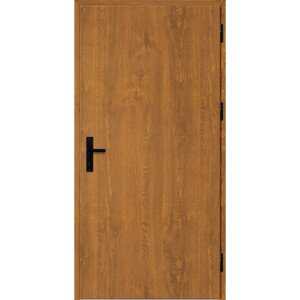 Ocelové vchodové dveře Solid - Zlatý dub, 90N, Hc =  1999 mm (Thermo 64)