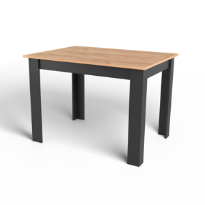 Stůl NP 120x80 Craft + Černý